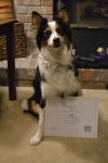 First Class Canines Class Grad, Lucy