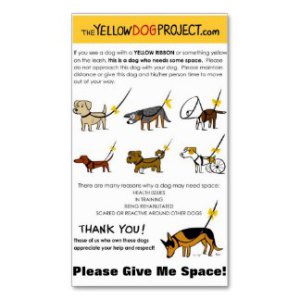 Yellow Dog Project