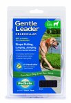 The Gentle Leader can be a great solution to a dog that pulls, just remember to teach your dog to be comfortable wearing it.