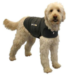 Thundershirts can give comfort to fearful dogs in many different situations - not just storms!